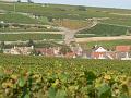 Vineyards near Pommard P1130935